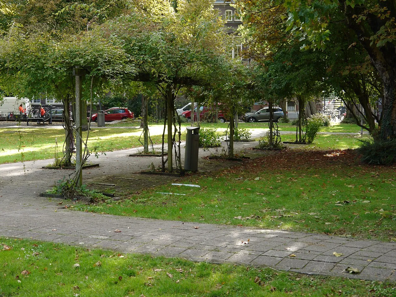 Een rozenhaag in een stadspark op een zonnige vroege herfstdag in Amsterdam.